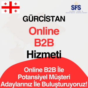 Gürcistan Online B2B Hizmeti